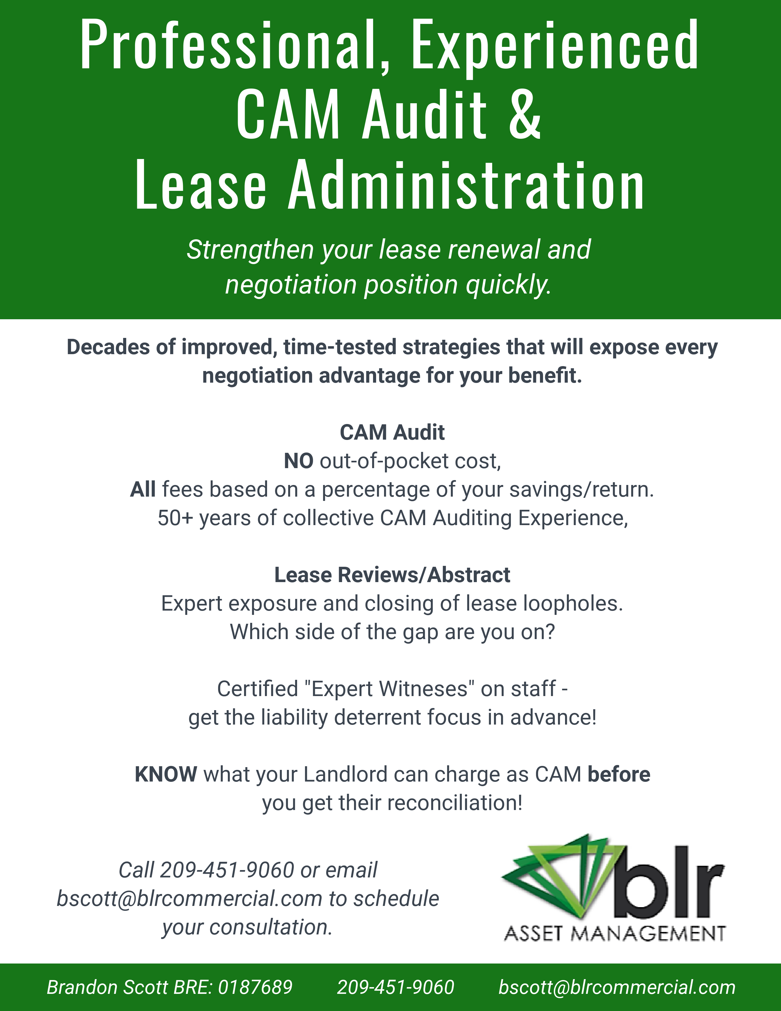 CAM audit flyer